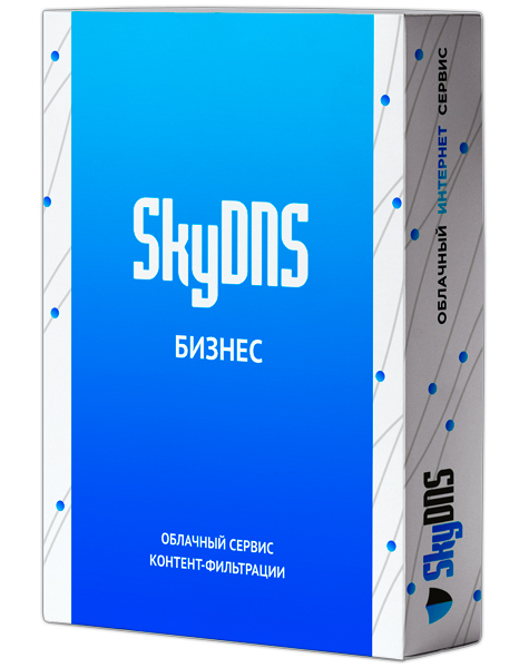 Сетевой экран SkyDNS Бизнес. 150 лицензий на 1 год