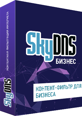 Сетевой экран SkyDNS Бизнес. 20 лицензий на 1 год