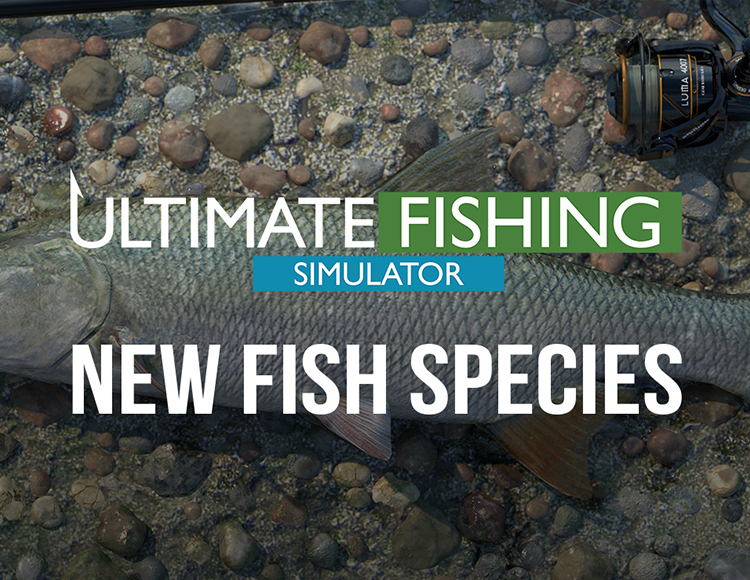 Ultimate Fishing Simulator - New Fish Species для Windows (электронный ключ)
