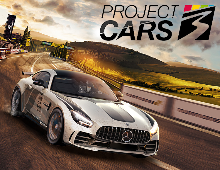 Project Cars 3 для Windows (электронный ключ)